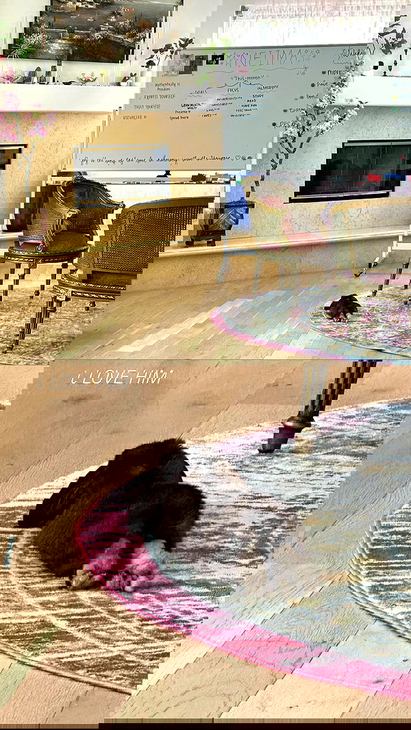 neiimaaa neiimaaa archive image