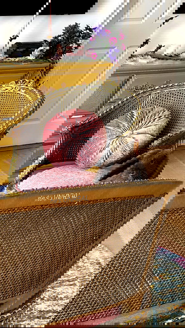 neiimaaa neiimaaa archive image