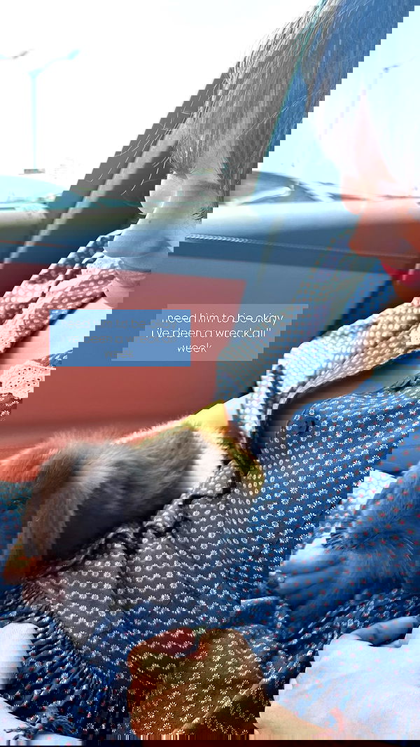 neiimaaa neiimaaa archive image