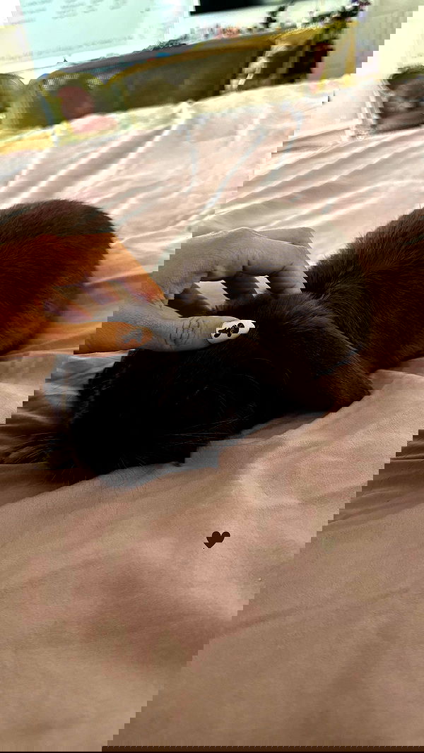 neiimaaa neiimaaa archive image