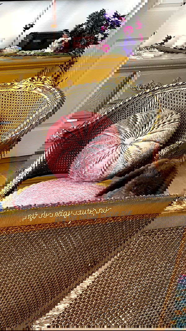 neiimaaa neiimaaa archive image