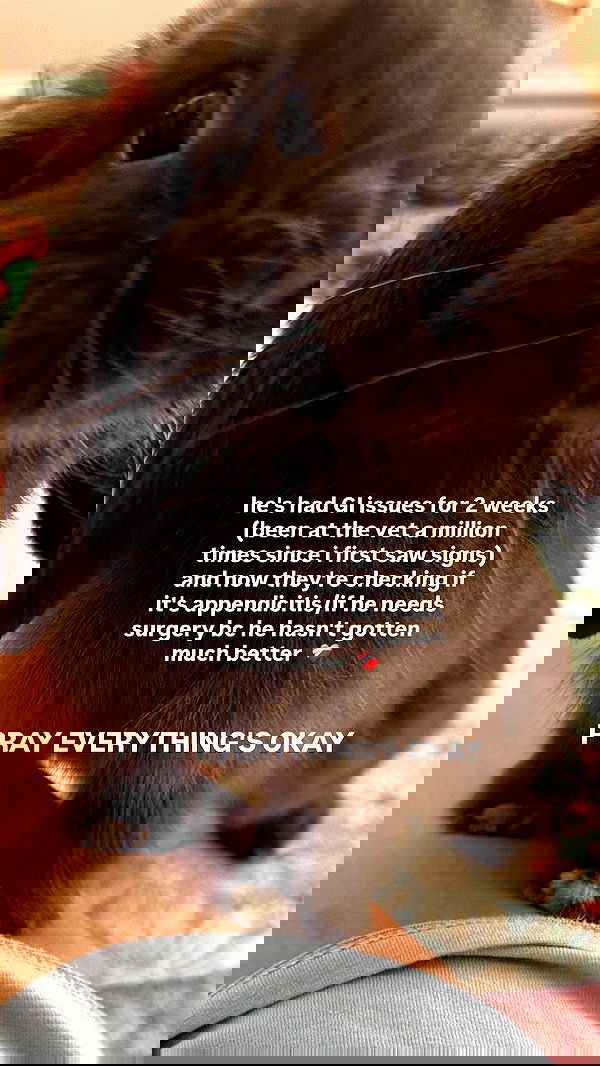 neiimaaa neiimaaa archive image