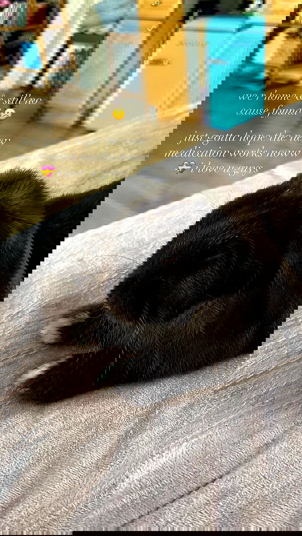 neiimaaa neiimaaa archive image