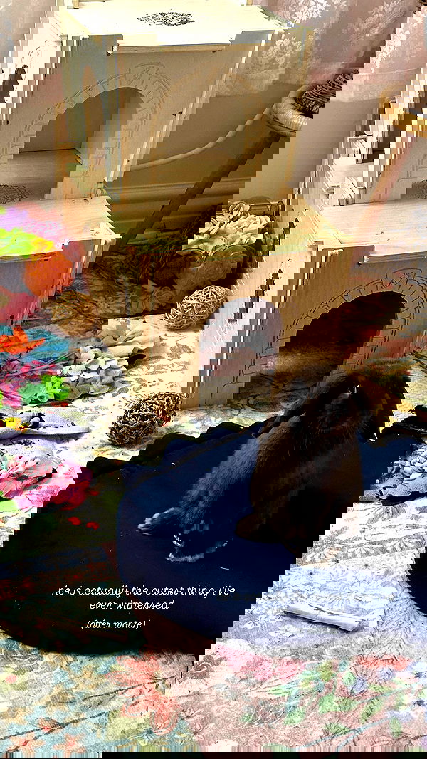 neiimaaa neiimaaa archive image