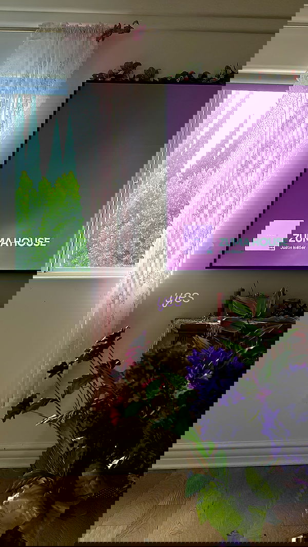 neiimaaa neiimaaa archive image