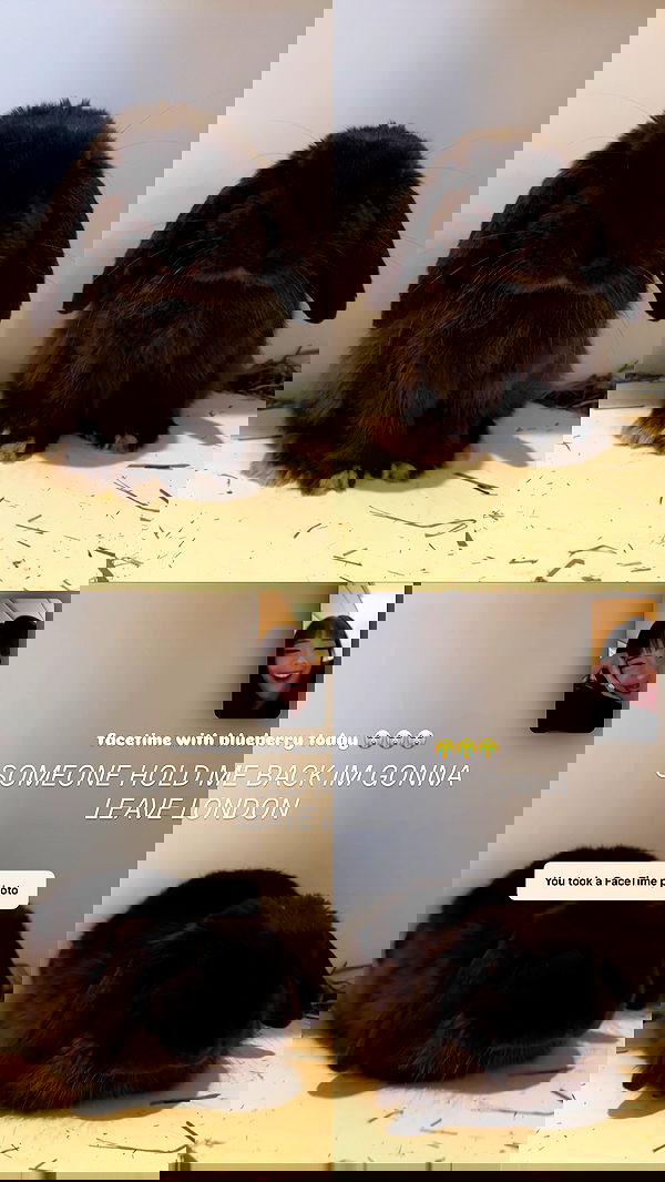 neiimaaa neiimaaa archive image