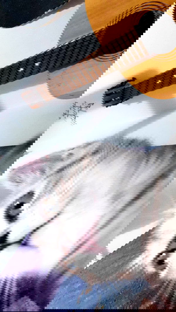 neomiconrad neomiconrad archive image