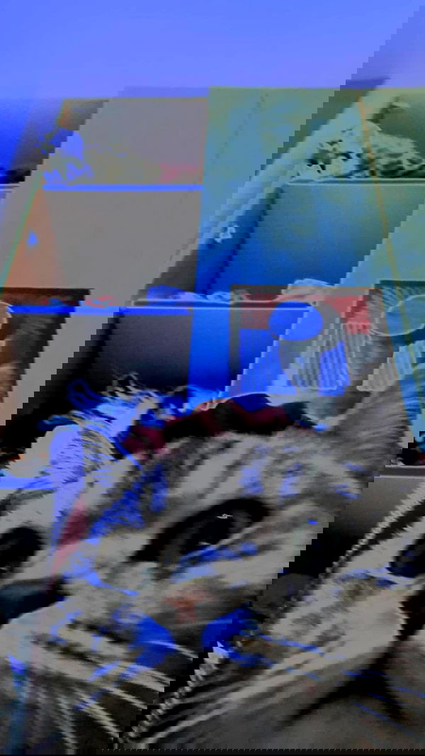 neomiconrad neomiconrad archive image