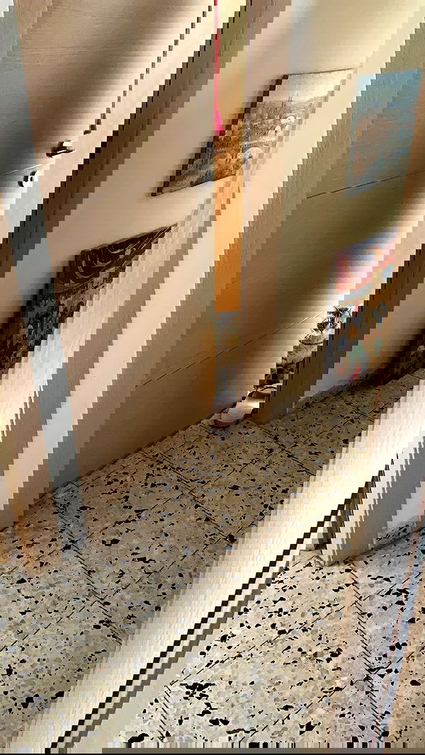 neomiconrad neomiconrad archive image