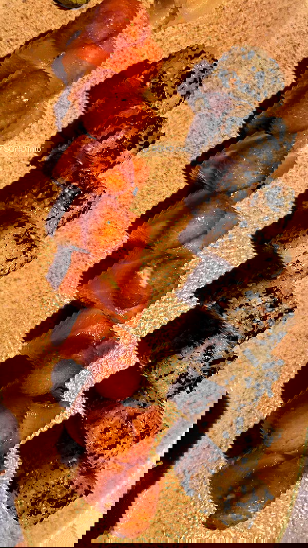 neomiconrad neomiconrad archive image