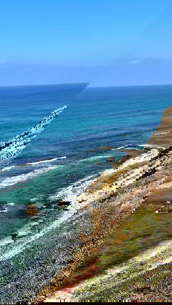 neomiconrad neomiconrad archive image