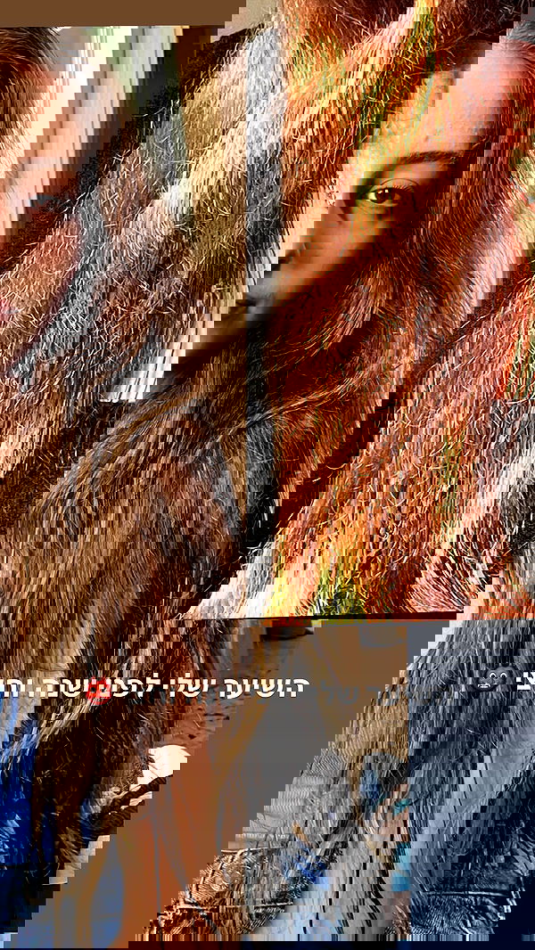 neomiconrad neomiconrad archive image