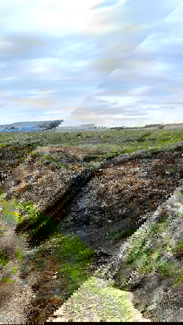 neomiconrad neomiconrad archive image