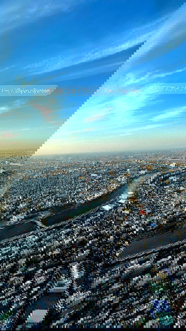 neomiconrad neomiconrad archive image