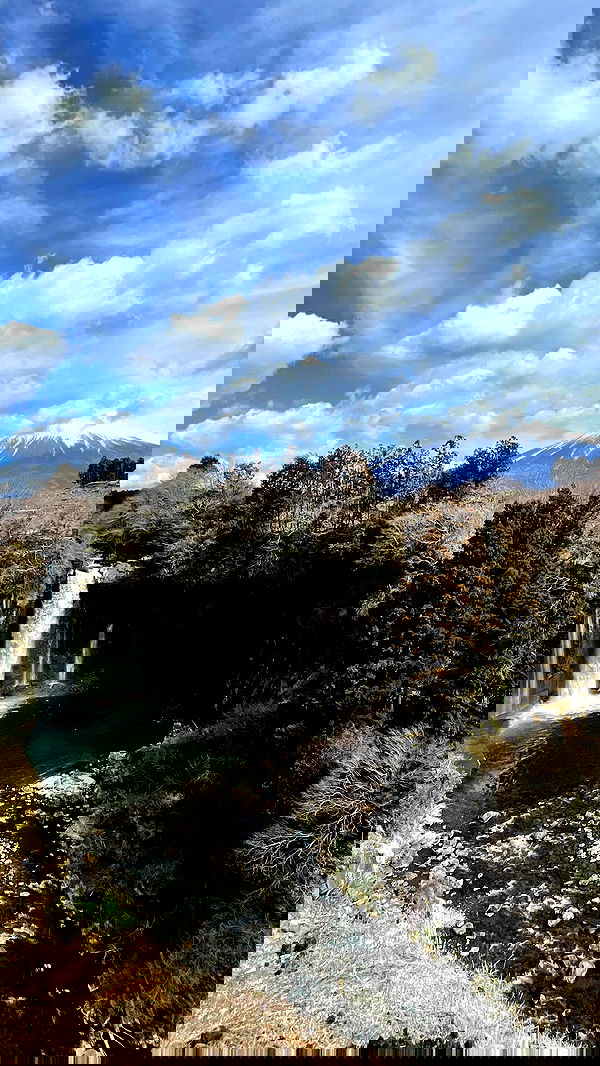 neomiconrad neomiconrad archive image