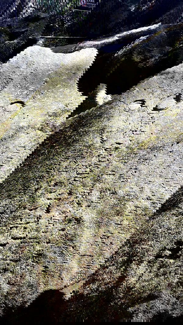 neomiconrad neomiconrad archive image