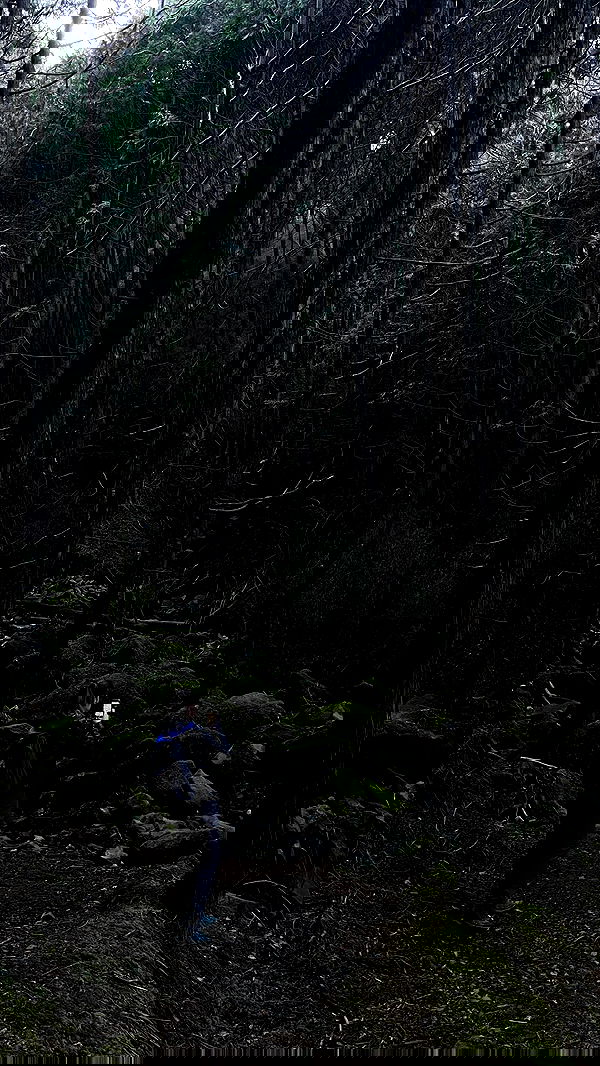 neomiconrad neomiconrad archive image