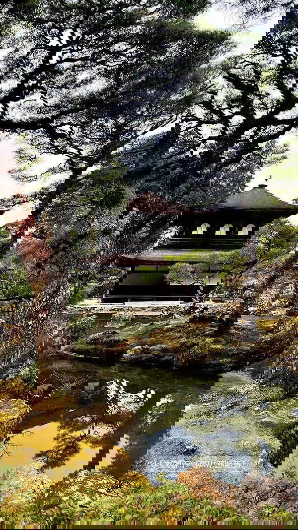 neomiconrad neomiconrad archive image