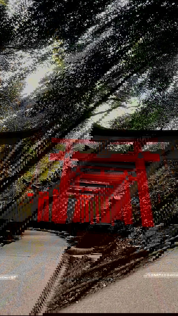 neomiconrad neomiconrad archive image