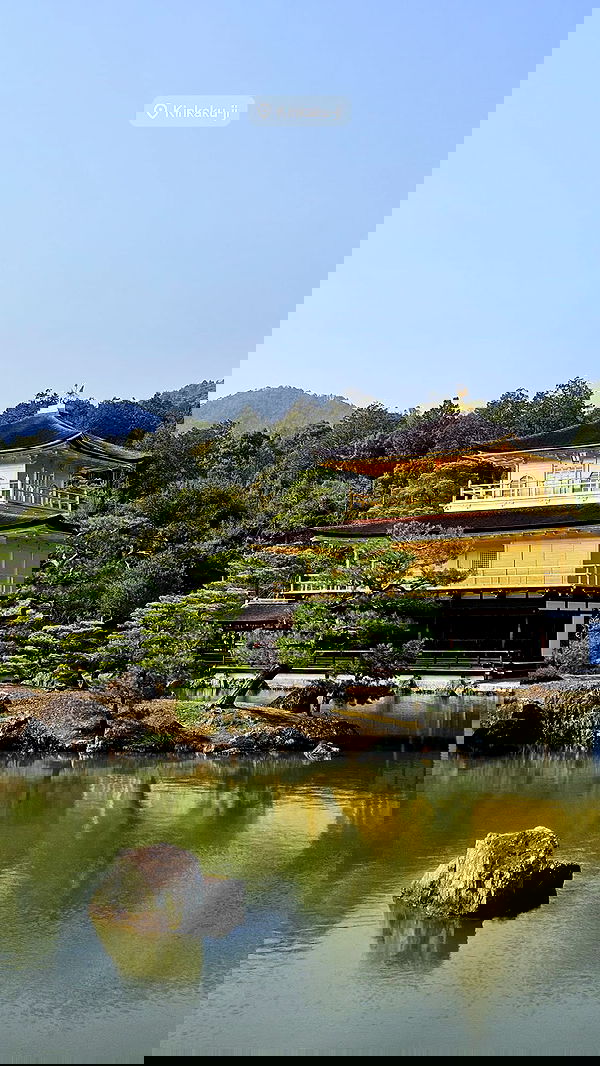 neomiconrad neomiconrad archive image