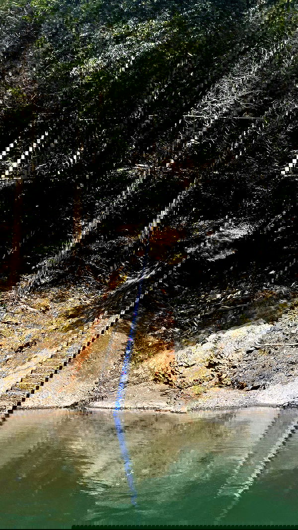 neomiconrad neomiconrad archive image