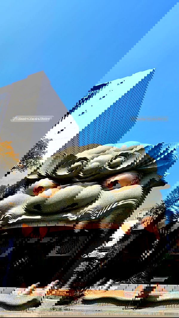 neomiconrad neomiconrad archive image