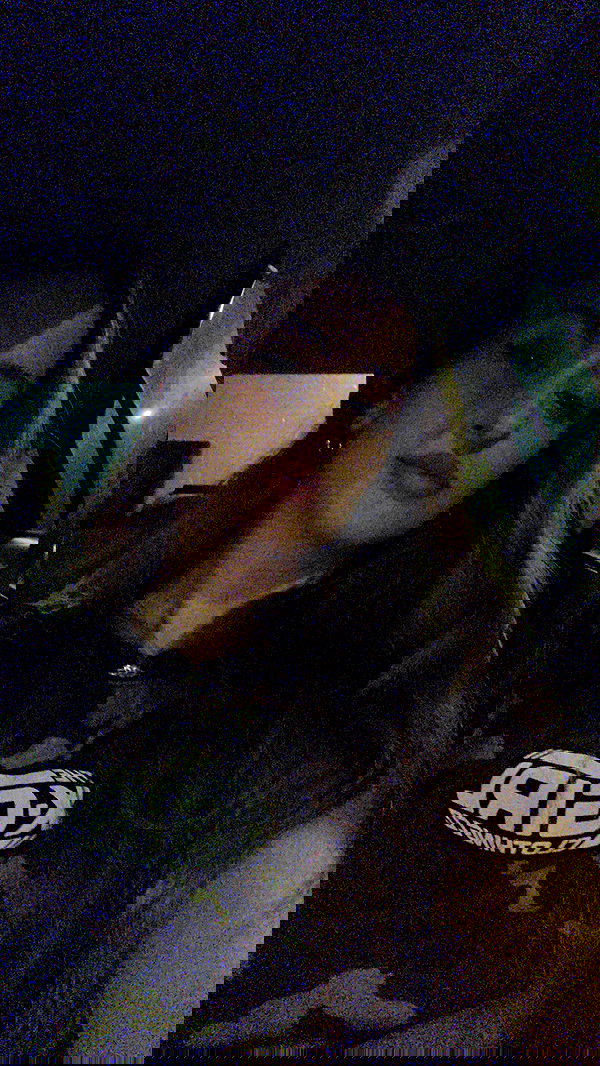 neomiconrad neomiconrad archive image