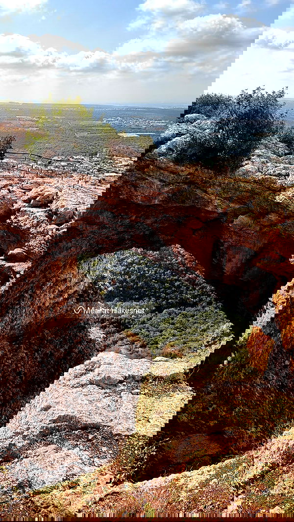 neomiconrad neomiconrad archive image