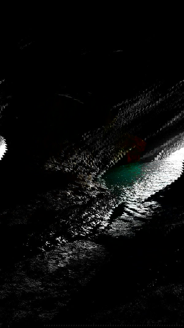 neomiconrad neomiconrad archive image