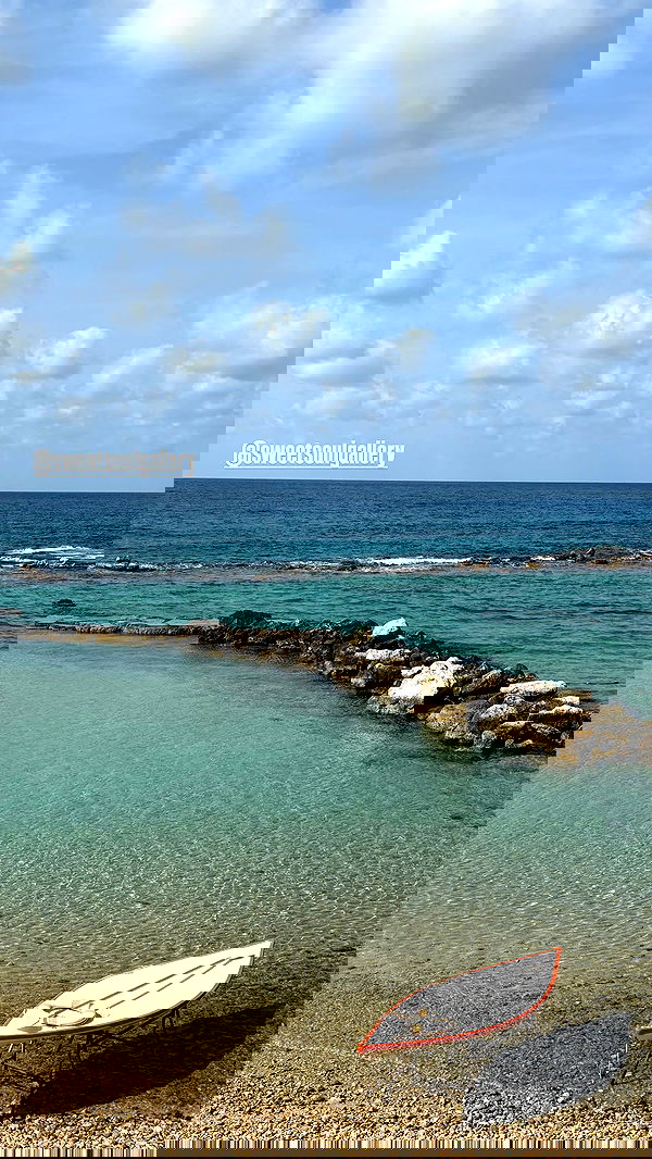 neomiconrad neomiconrad archive image