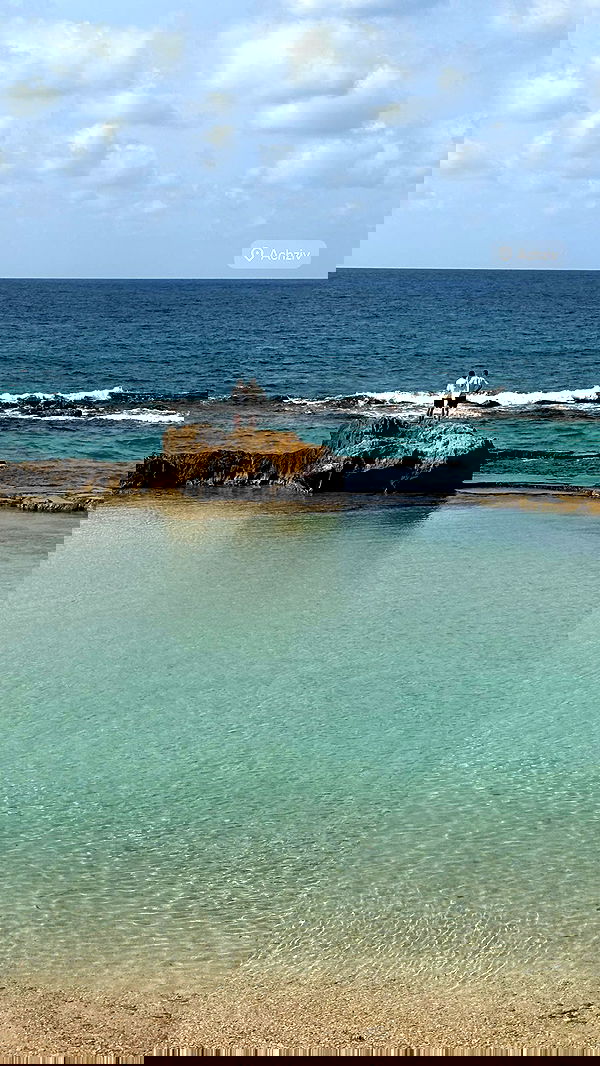 neomiconrad neomiconrad archive image