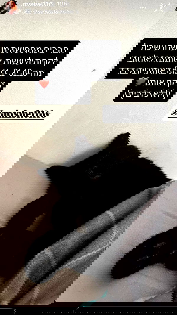 neomiconrad neomiconrad archive image