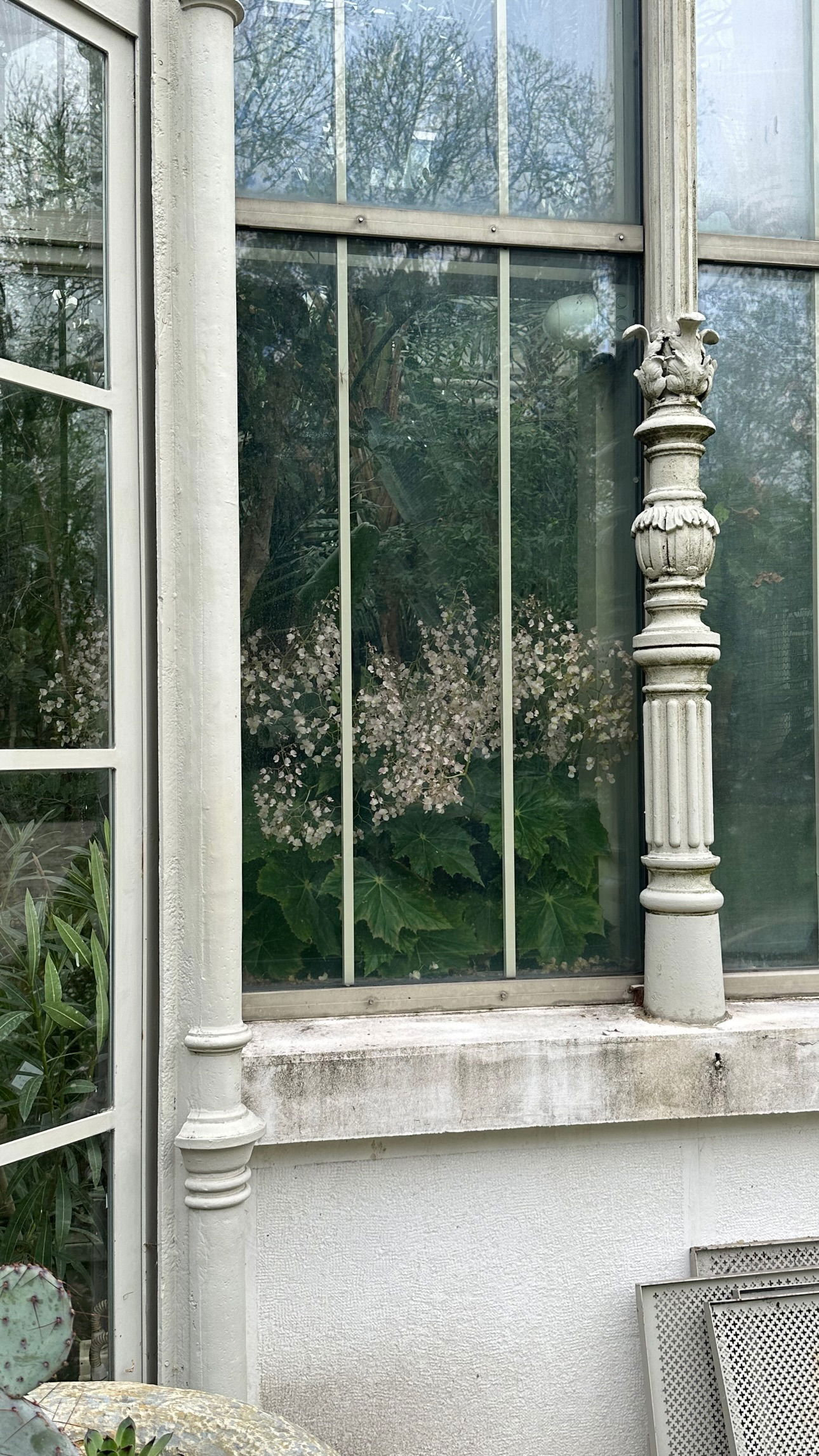 neondemoni instagram image archive image