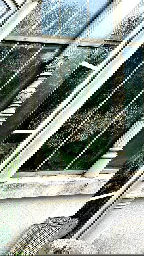 neondemoni image ~ Altpins