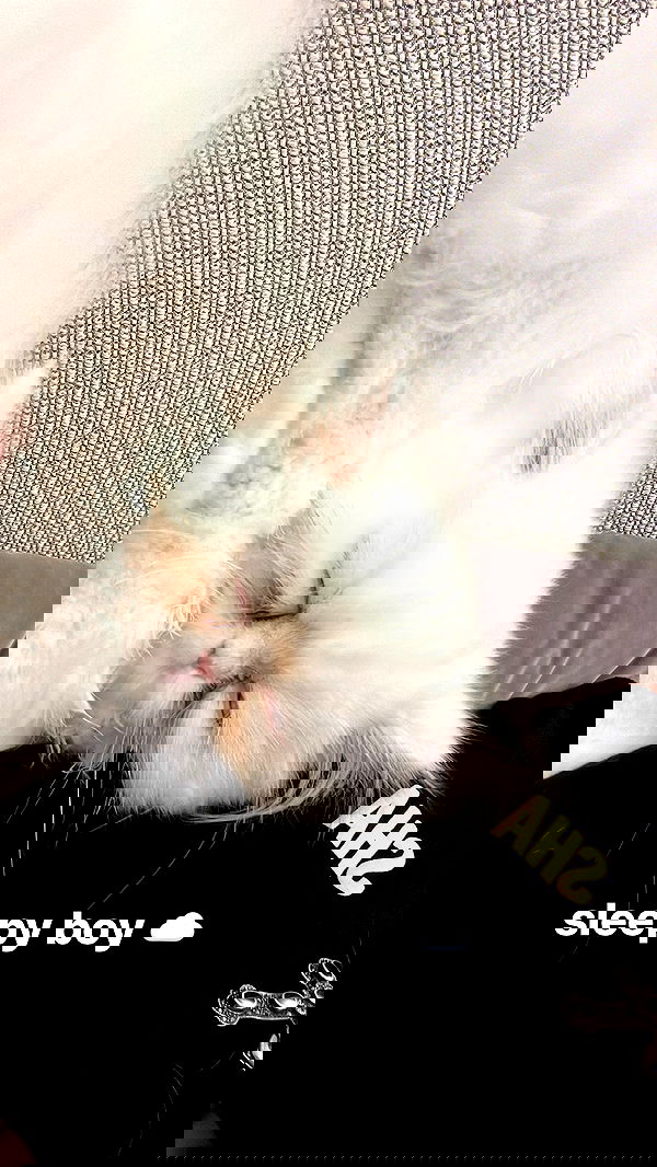 nessabarrett image ~ Altpins