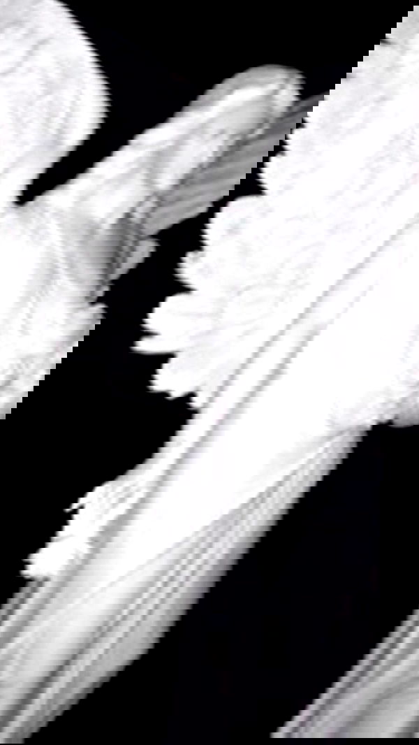 nessabarrett image ~ Altpins