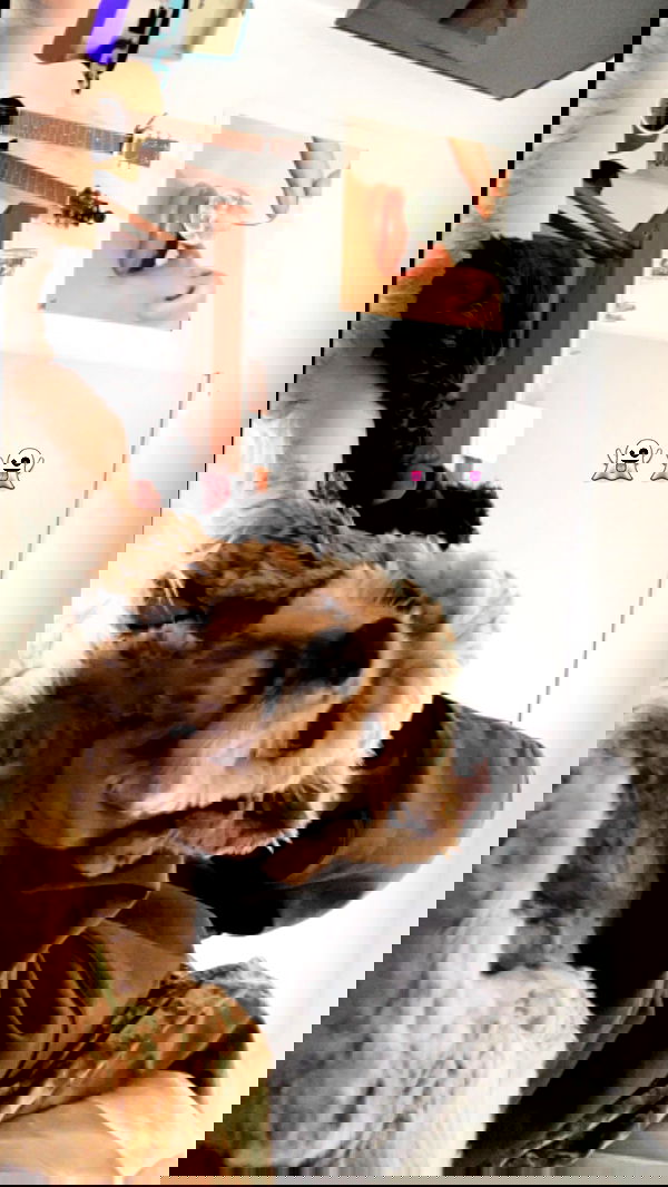 nessabarrett image ~ Altpins