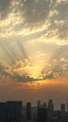 netabar Altpins Profile Picture