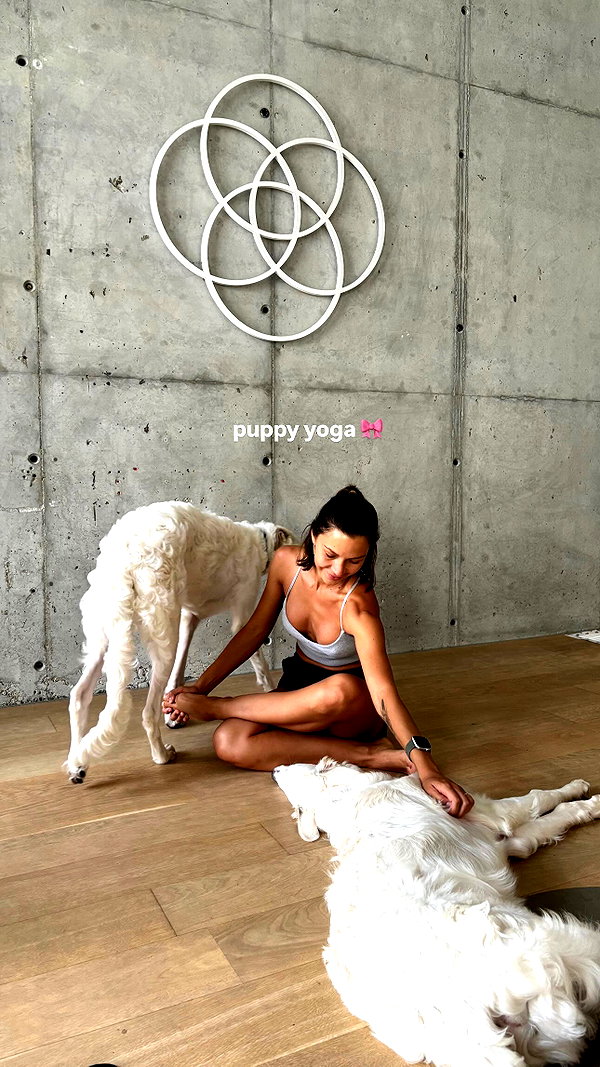 netabar instagram image archive image