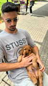 netabar Altpins Profile Picture