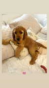 netabar Altpins Profile Picture