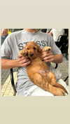 netabar Altpins Profile Picture