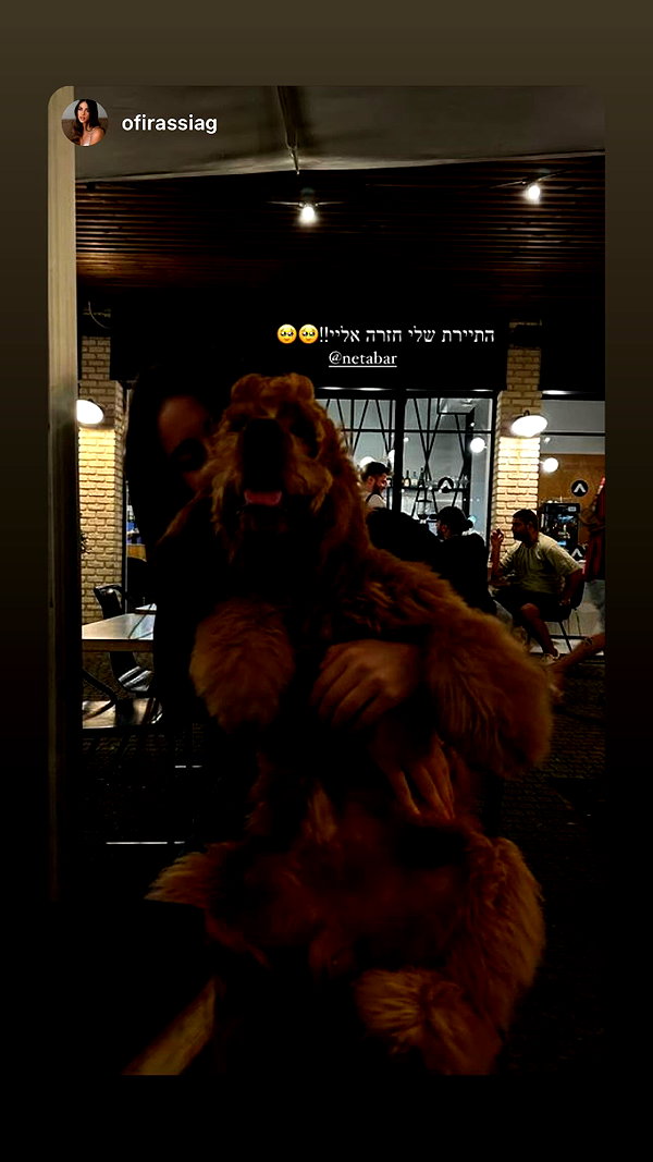 netabar instagram image archive image