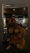 netabar Altpins Profile Picture