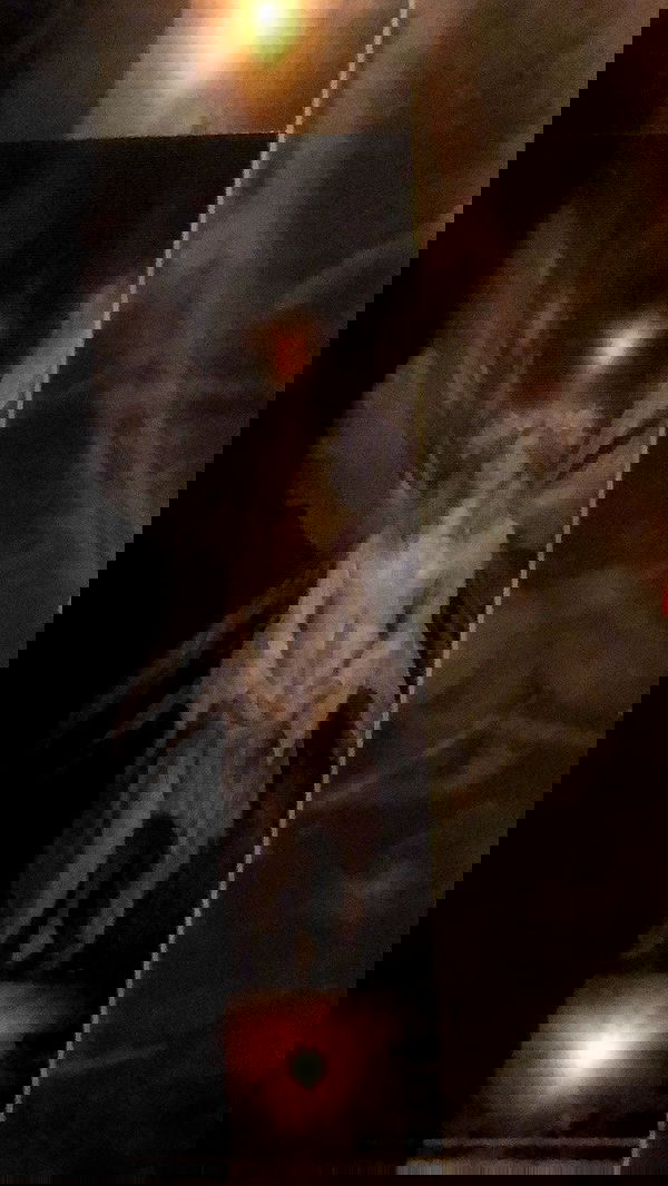 nettakatycat image ~ Altpins