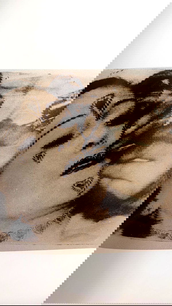 nettakatycat image ~ Altpins