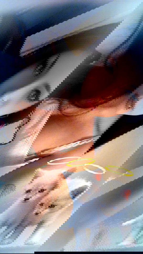 nettakatycat image ~ Altpins