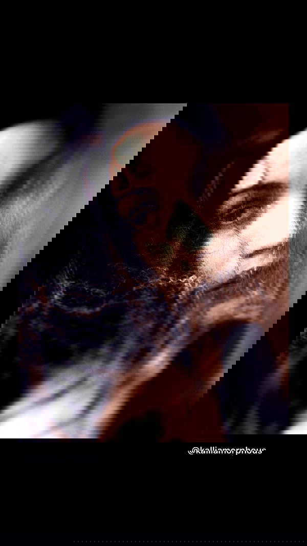 nettakatycat image ~ Altpins