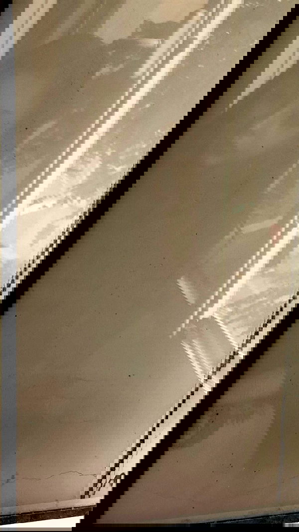 nettakatycat image ~ Altpins