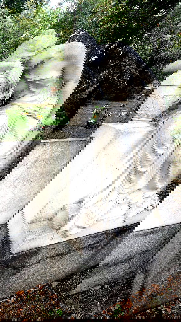 nettakatycat image ~ Altpins